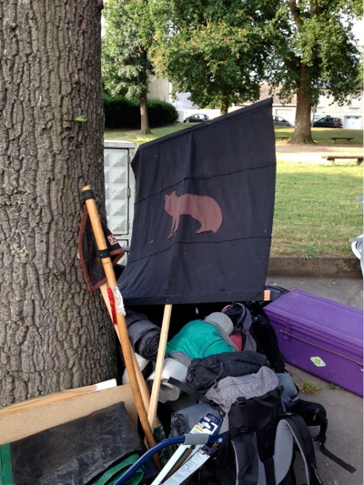 Etandard renard suf adb nantes