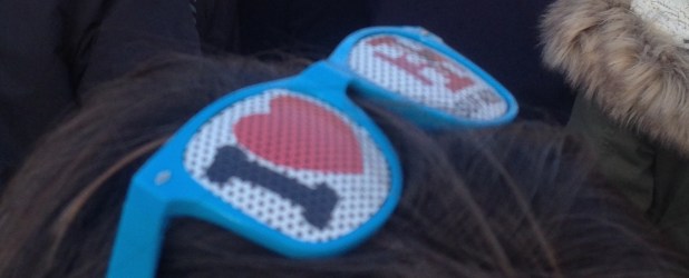 Suf ADB les lunettes !